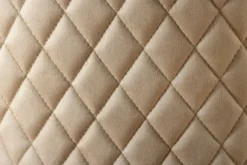 Barock Stuhl CASTLE DELUXE beige Samt gold Edelstahl mit Löwenkopf Ziernieten