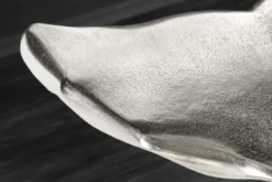 Design Beistelltisch WILDLIFE Walflosse 60cm silber Metall handmade