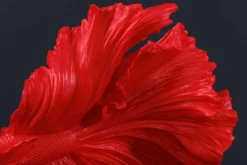 Design Deko Figur Kampffisch CROWNTAIL 35cm rot Betta Fisch Skulptur