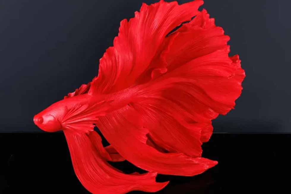 Design Deko Figur Kampffisch CROWNTAIL 65cm rot Betta Fisch Skulptur