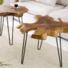 Einzigartiger Beistelltisch WILD 50cm Teak Massivholz Baumscheibe Metallbeine schwarz