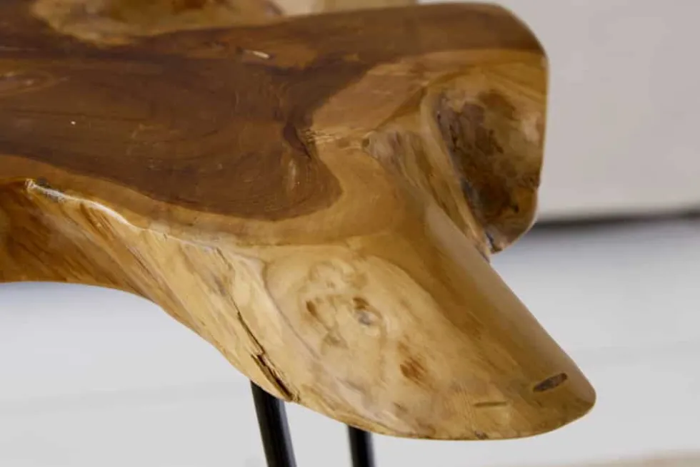 Einzigartiger Beistelltisch WILD 60cm Teakholz Baumscheibe Couchtisch