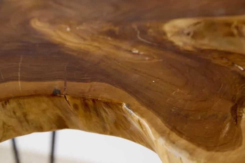 Einzigartiger Beistelltisch WILD 60cm Teakholz Baumscheibe Couchtisch