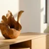 Einzigartige Schale ORGANIC 40cm natur Teak aus Wurzelholz