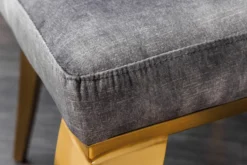 Eleganter Stuhl MODERN BAROCK grau Samt mit goldenem Löwenkopf