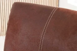 Freischwinger Stuhl SAMSON dark coffee Edelstahlrahmen mit Komfortgriff