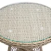 In- und Outdoor Garten-Set ELYSEE natur grau Polyrattan Aluminium inkl. Tisch Kissen