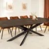Massiver Esstisch SIGNUM 220cm dunkelbraun Mangoholz Bootsform Sterngestell