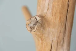 Massiver Garderobenständer TREE NATURE 170cm natur Holz Kleiderständer