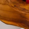 Massive Schale NATURE ROOT 40cm natur Teakholz Wurzelholz