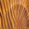 Massives Highboard SCORPION 120cm braun Mangoholz aufwendige 3D Schnitzereien