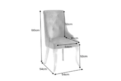 Stuhl MODERN BAROCK DELUXE grau Samt silber Edelstahlbeine mit Löwenkopf