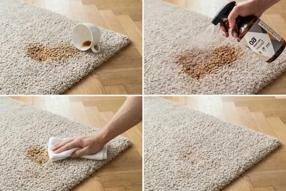 Teppichreiniger OA CARPET CARE 500ml PFC und VOC frei Tiefenreiniger für Textilboden